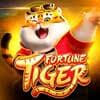 fortune png - Slots Casino ícone